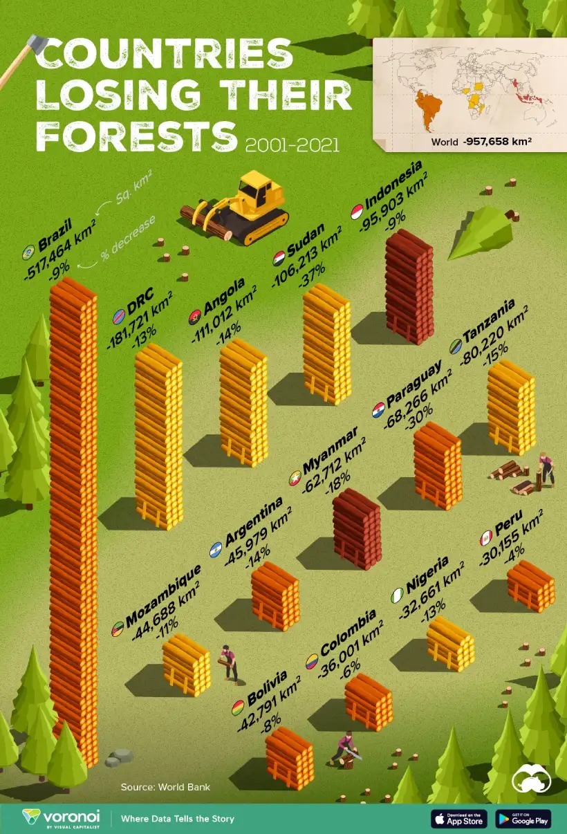 کدام کشورها از سال ۲۰۰۱ تا ۲۰۲۱ جنگل بیشتری از دست داده‌اند؟ + اینفوگرافی