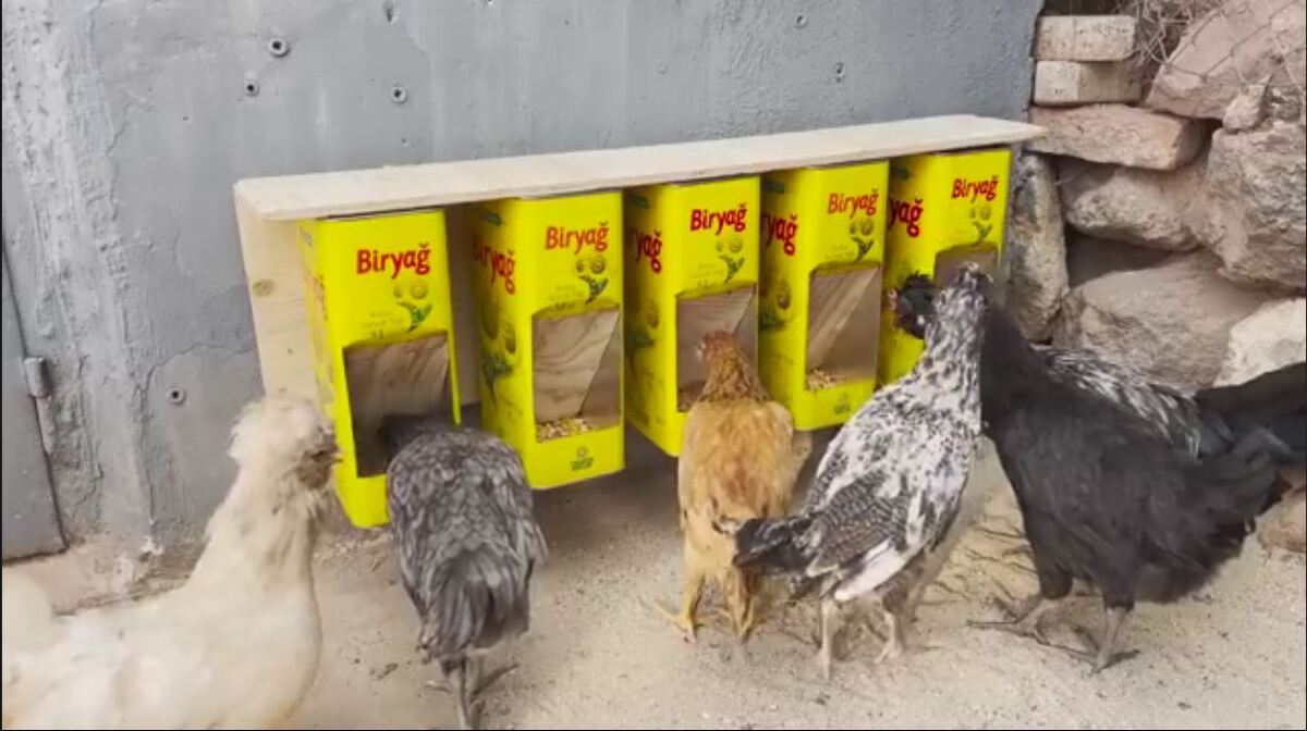 ایده جذاب ساخت دانخوری برای مرغ ها با استفاده از قوطی های روغن (فیلم)
