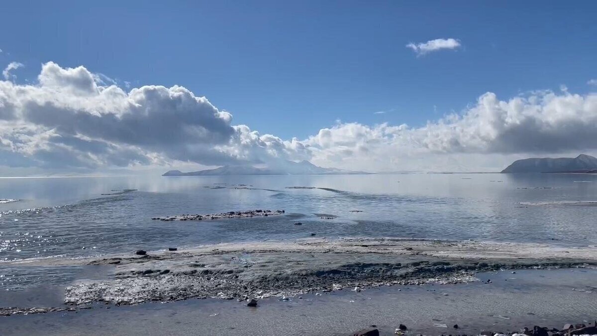 صف گردشگران برای دیدن دریاچه ارومیه پر آب (فیلم)