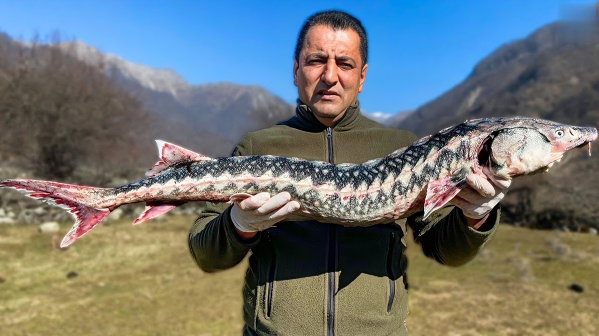 پخت ماهی خاویاری به سبک آشپز آذربایجانی (فیلم)