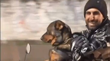 ثبت تصویر موتورسواری حرفه‌ای یک سگ در خیابان‌های ایران (فیلم)