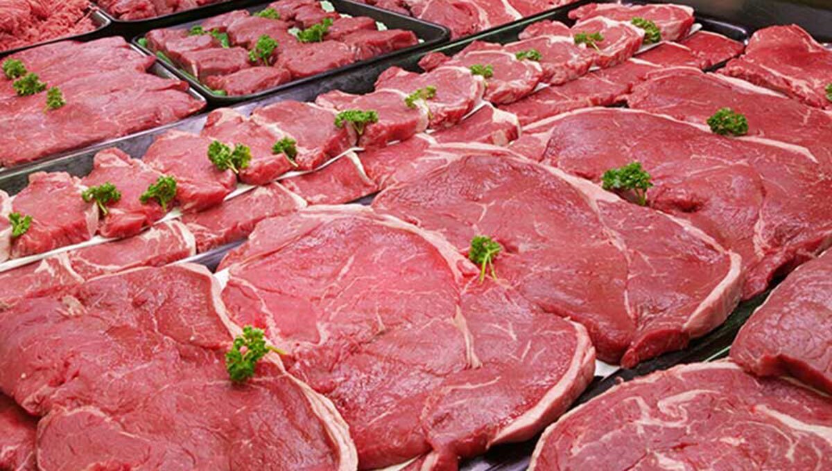 سقوط وحشتناک جمعیت شتر در ایران! / قیمت گوشت شتر نجومی شد / مراقب باشید به جای گوشت شتر به شما گوشت گوساله نیندازند!