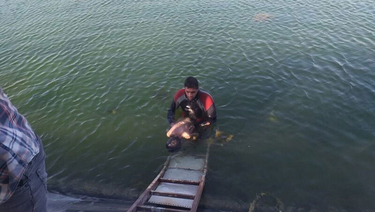 ۲ نوجوان در جغتای خراسان رضوی غرق شدند