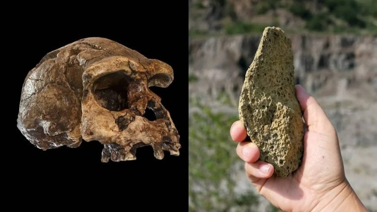 کشف ابزار سنگی که داستان تکامل انسان را تغییر می‌دهد