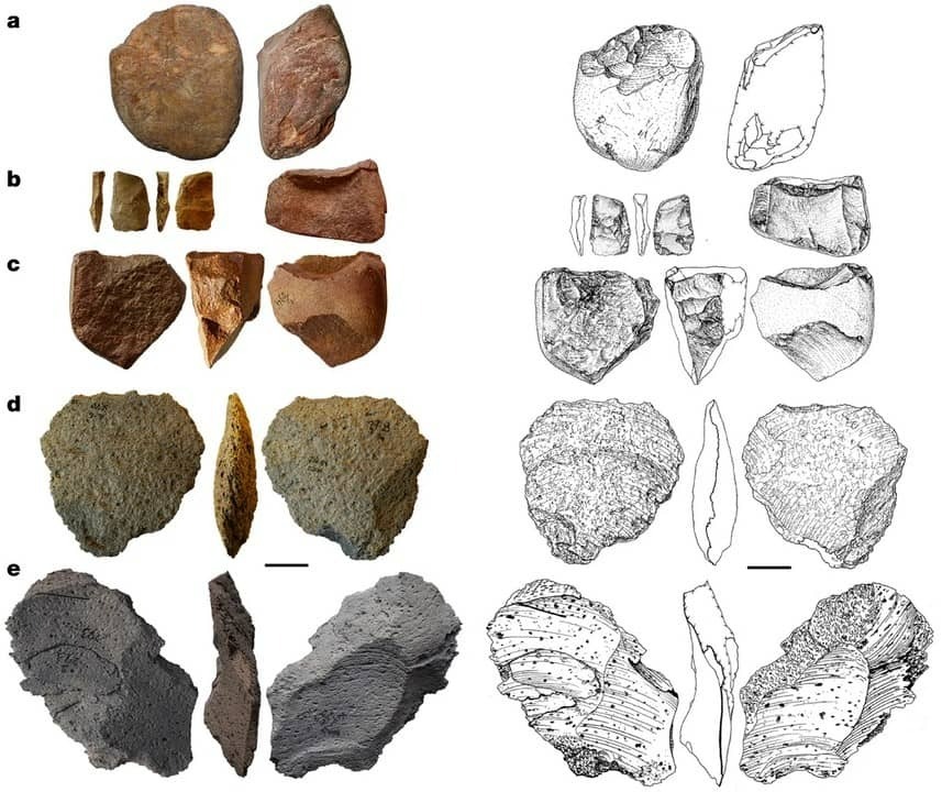 کشف ابزار سنگی که داستان تکامل انسان را تغییر می‌دهد