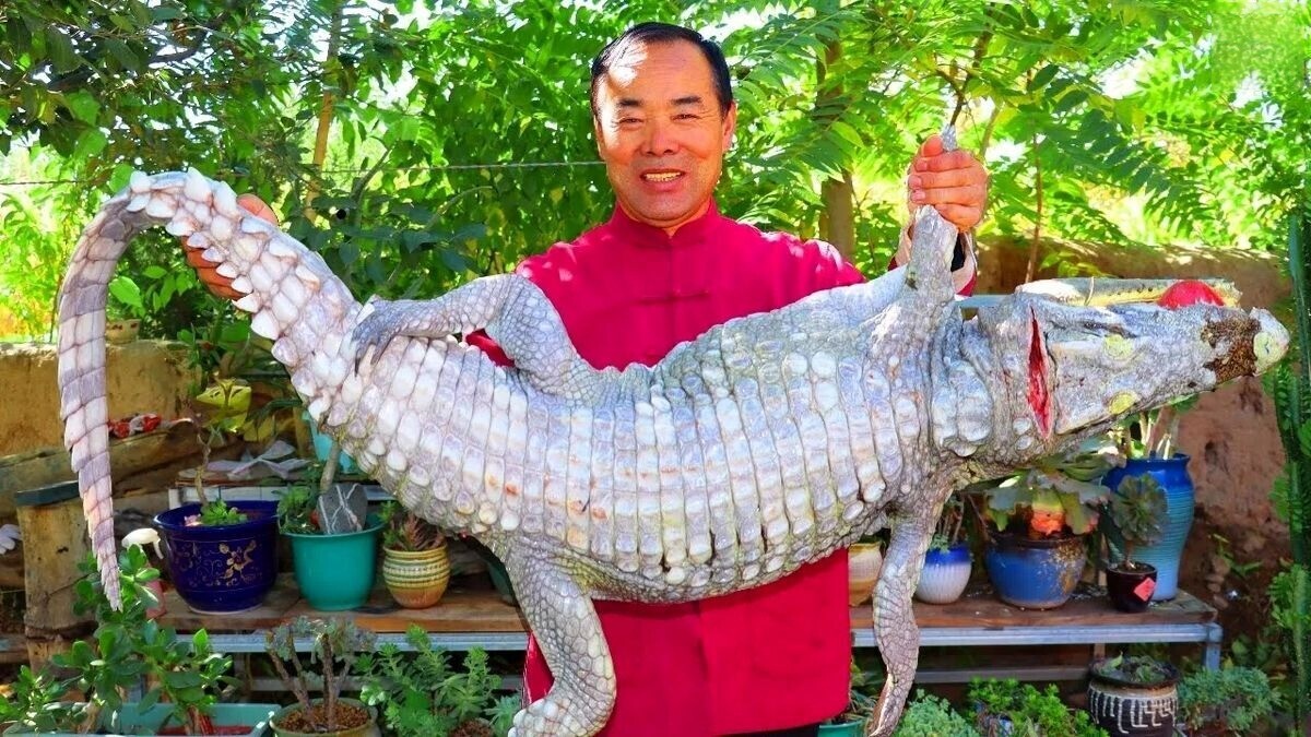 پخت تمساح 35 کیلوگرمی توسط آشپز روستایی چینی (فیلم)