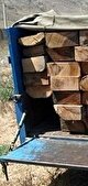 درآمد فروش 60 میلیون مترمکعب چوب جنگل های شمال چه شد/ جمع آوری چوب های خشک به جای جلوگیری از قاچاق! 
