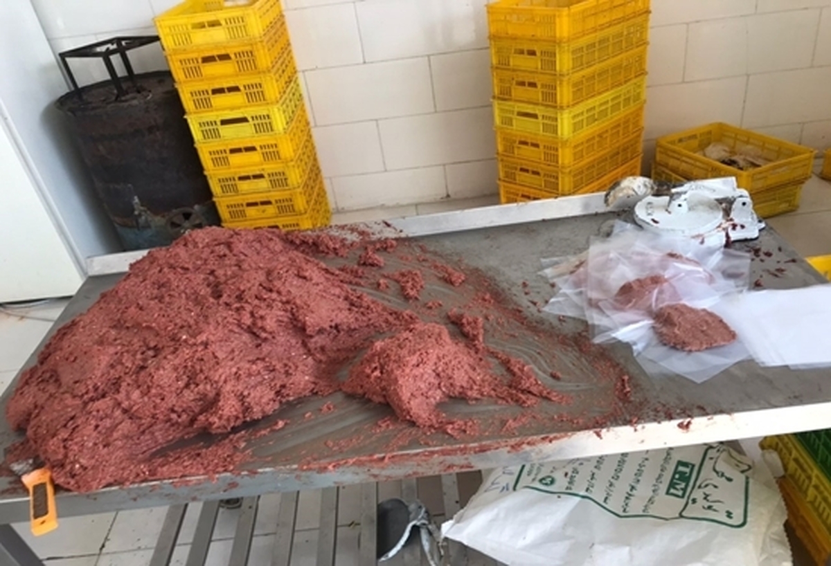 پلمب یک کارگاه غیر بهداشتی تولید همبرگر با ضایعات گوشت