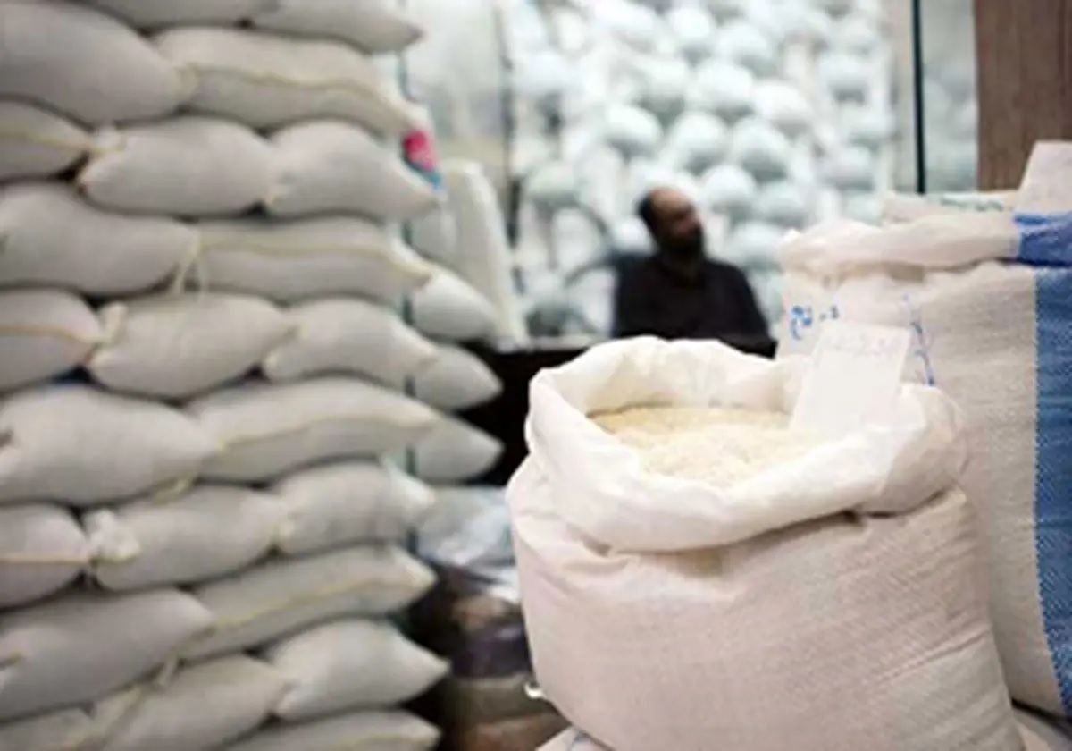 توضیحات رییس اتحادیه برنج‌فروشان بابل درباره گرانی برنج : یک شرکت بزرگ برنج های در انبار مانده کشاورزان را در دو ماه گذشته خریده