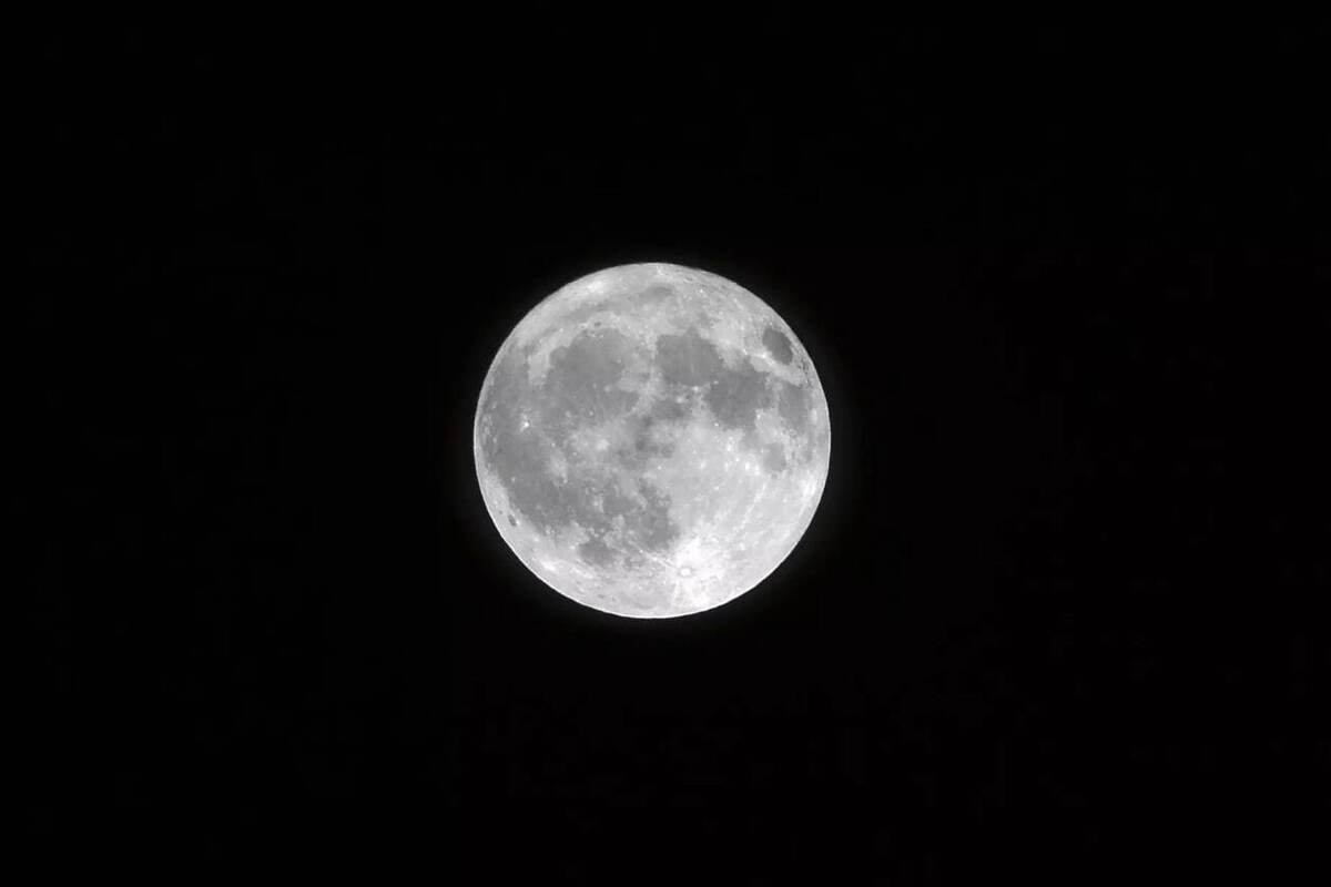 ماه بر سلامتی کدام عضو بدن ما تاثیر می گذارد؟