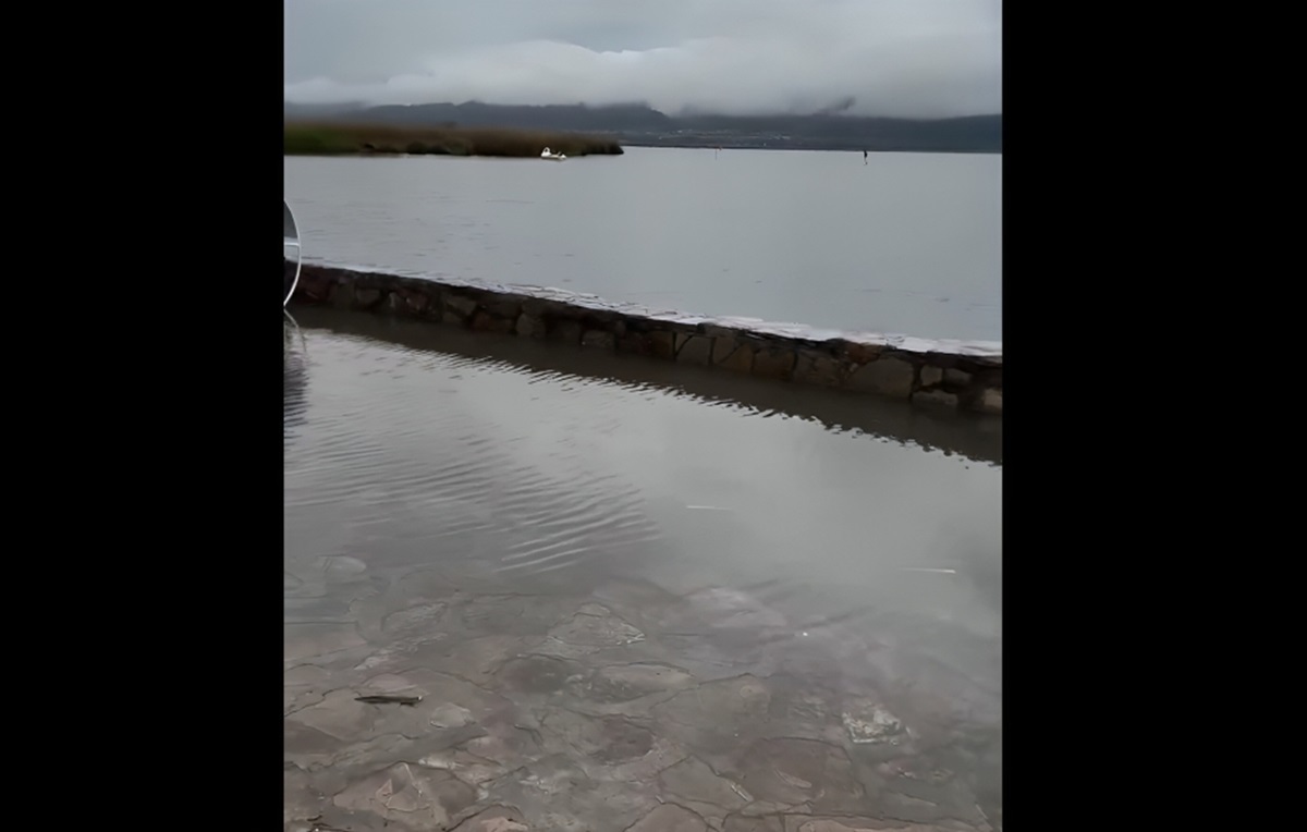 وضعیت دریاچه زریبار پس از بارش‌های اخیر (فیلم)