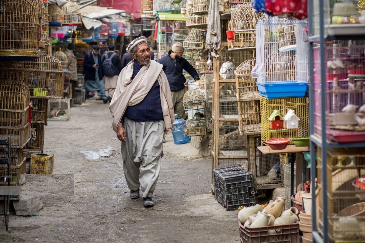 بازار پرنده فروشان کابل (عکس)