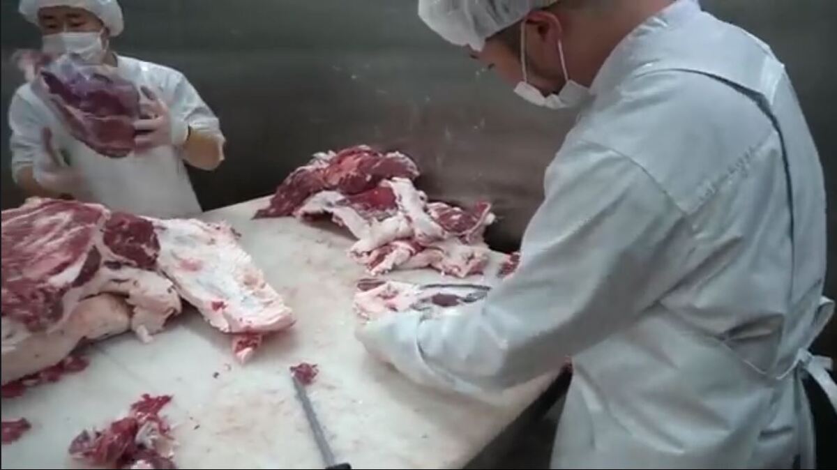 فرآیند برش و قصابی کردن گوشت گاو‌های بزرگ و گران قیمت کره‌ای (فیلم)