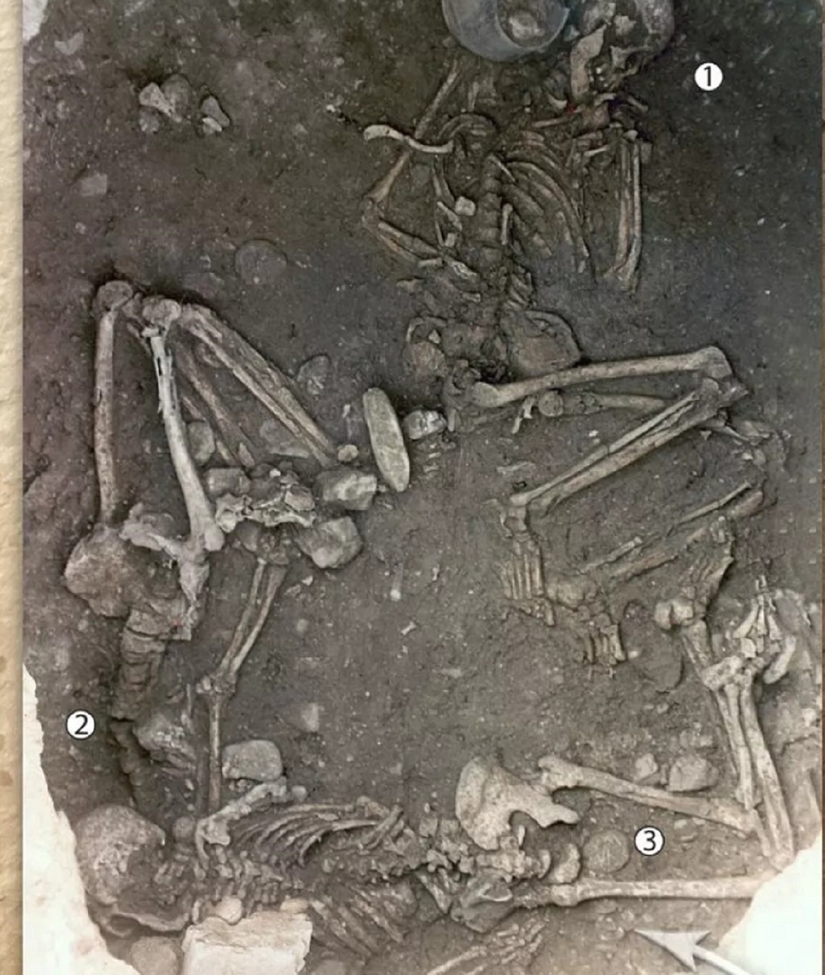 کشف بقایای زنان شکنجه و خفه شده‌ به شیوه «مافیاهای ایتالیایی» در مراسم قربانی ۶ هزار سال پیش