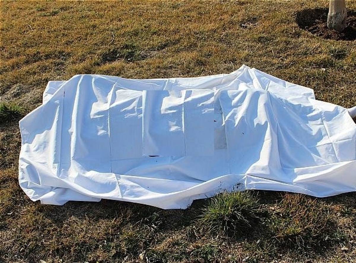 کشف یک جسد مرموز در کرمان خبرساز شد