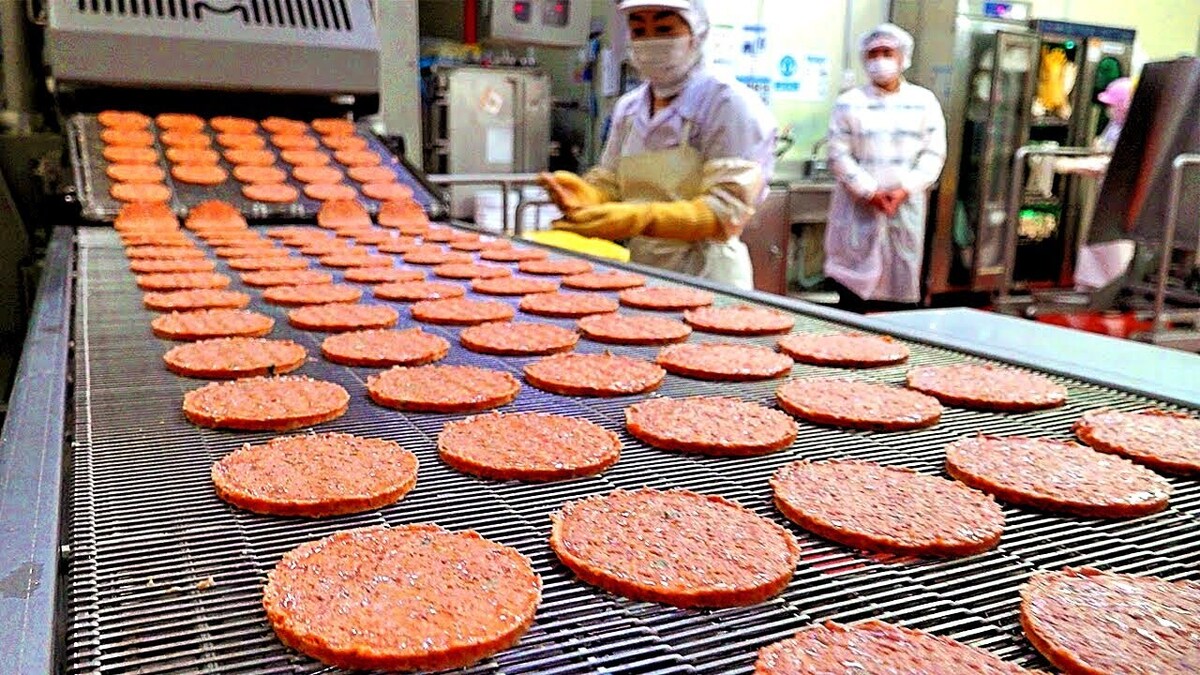 فرآیند تولید و بسته بندی میلیون‌ها همبرگر مرغ در کارخانه (فیلم)