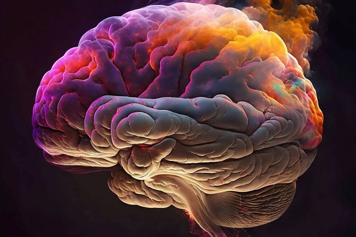 محققان : مغز انسان در حال بزرگ‌تر شدن است