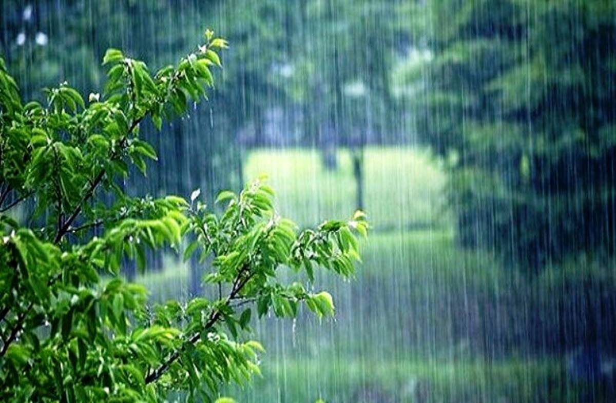رگبار باران در برخی نقاط کشور