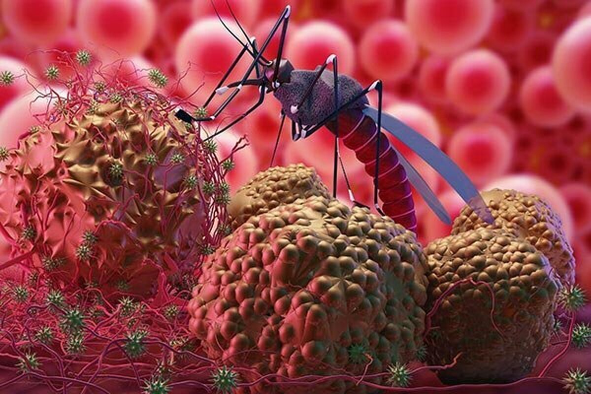 پیشتازی ایران در تشخیص مالاریا