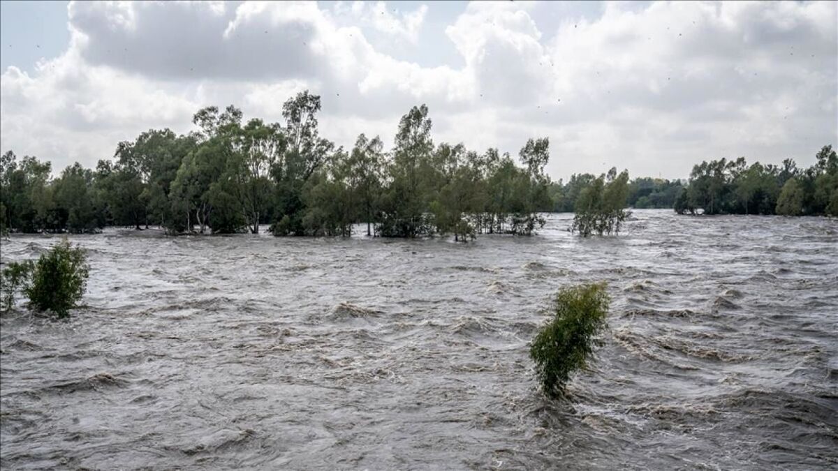 آماده‌باش امدادگران در ۱۴ استان کشور درپی احتمال رگبار و وزش باد شدید