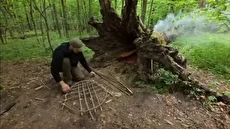 ساخت پناهگاه مخفی در یک درخت توخالی