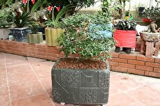 مراحل ساخت یک گلدان زیبا با سیمان و سبد پلاستیکی میوه به روش استاد چینی