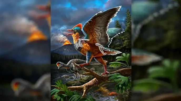 کشف قدیمی&zwnj;ترین پرنده فسیل شده در چین