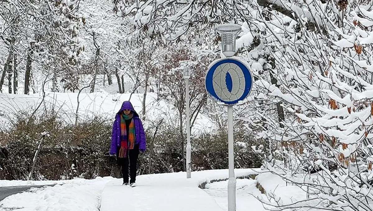 بارش برف زمستانی در تهران / ۳۰ دی ۱۴۰۴ (عکس)