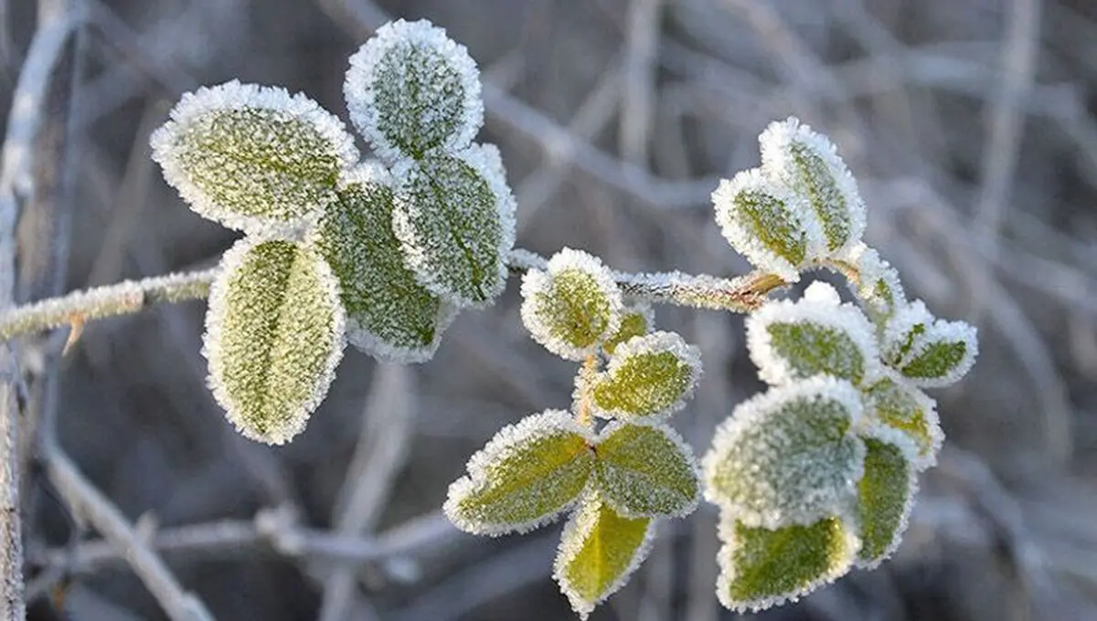 سرما در آذربایجان‌غربی رکورد زد/ تخت‌سلیمان دمای منفی ۲۲.۴ درجه را تجربه کرد