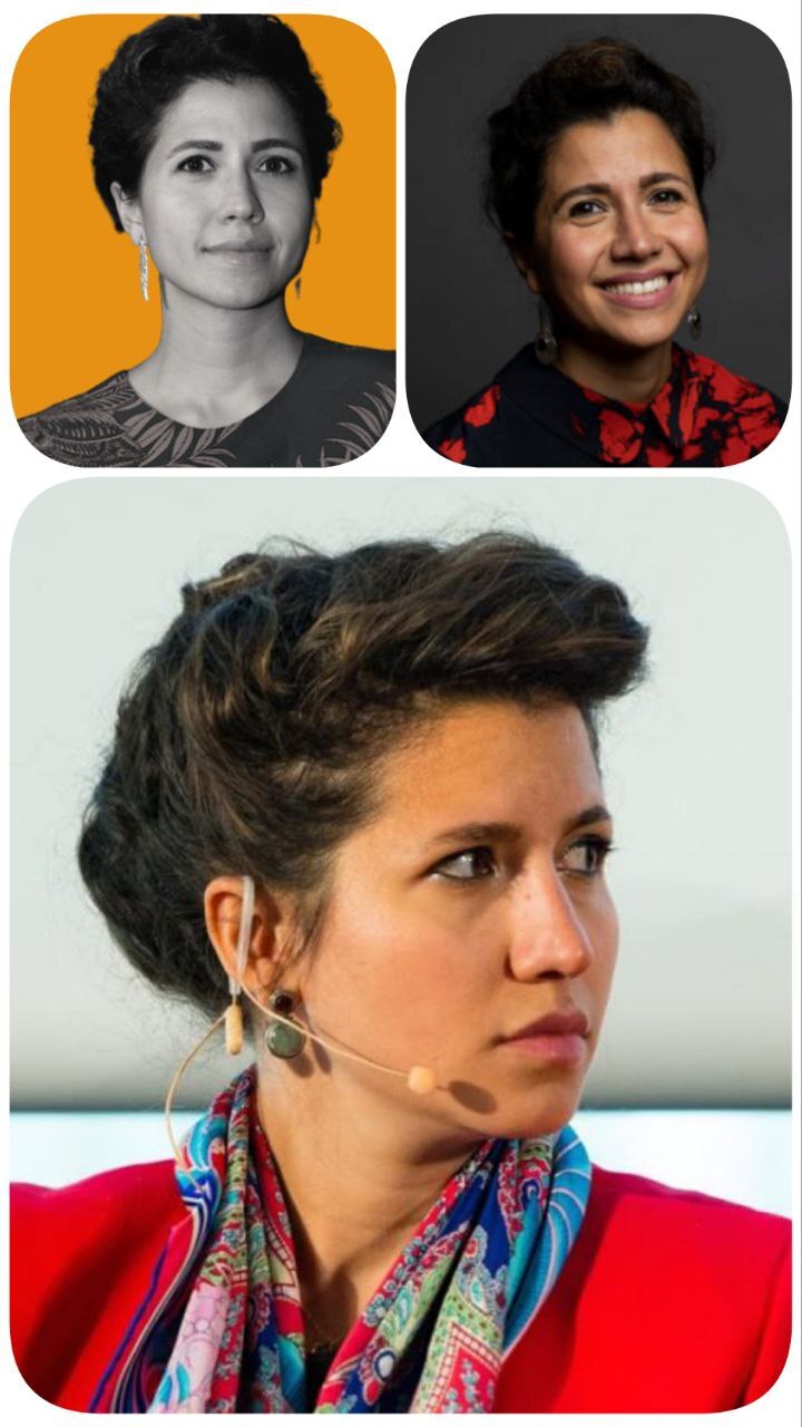 الی گران‌مایه