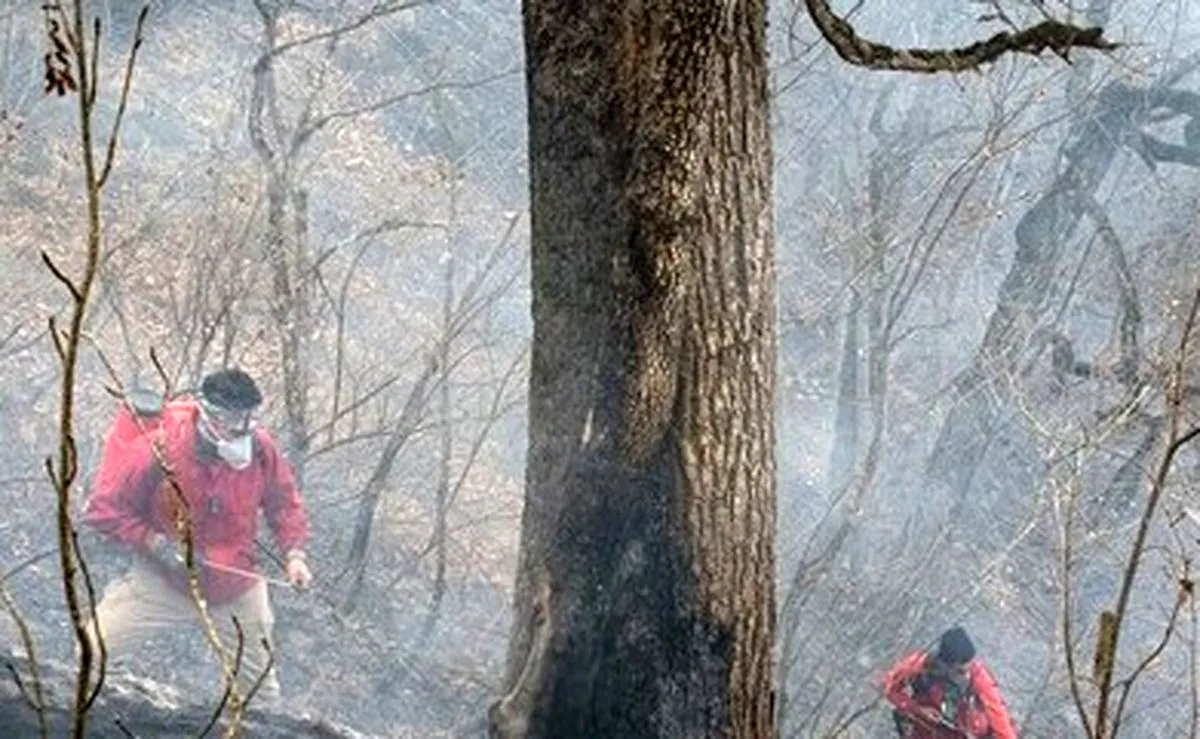 وقوع ۲۵۰۰ فقره آتش‌سوزی در منابع طبیعی طی سال جاری/ ۸۸ درصد حریق‌ها سطحی بوده است