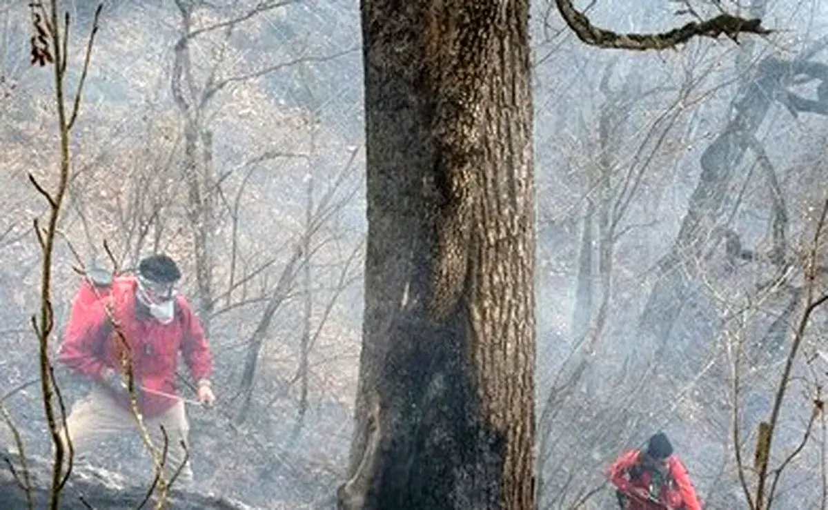 وقوع ۲۵۰۰ فقره آتش‌سوزی در منابع طبیعی طی سال جاری/ ۸۸ درصد حریق‌ها سطحی بوده است