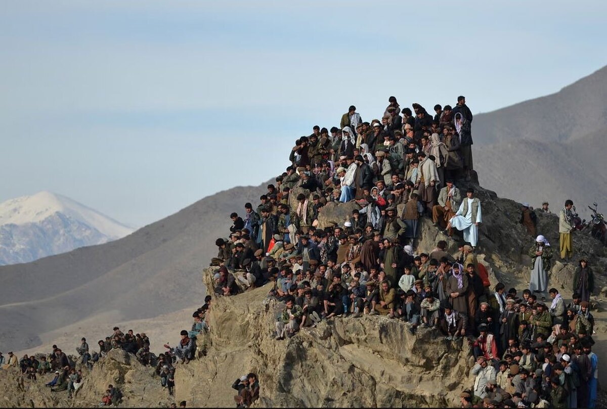 دیدنی های امروز؛ از اعتراضات سراسری در آمریکا تا مسابقات بزکشی در افغانستان