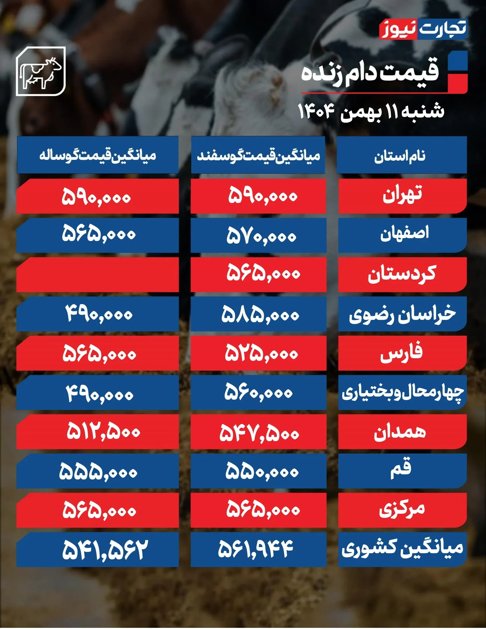 قیمت دام زنده