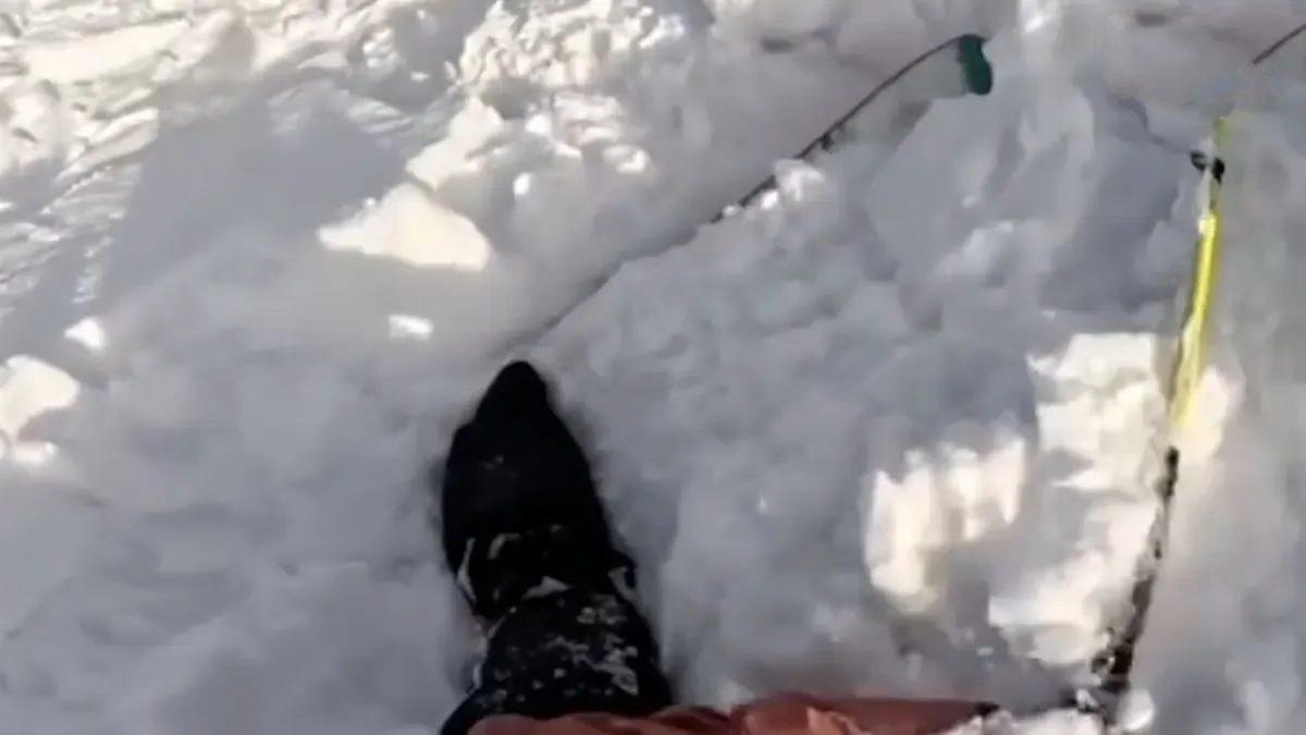 لحظه گرفتار شدن اسکی باز و سگش در بهمن