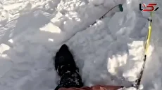 لحظه گرفتار شدن اسکی باز و سگش در بهمن