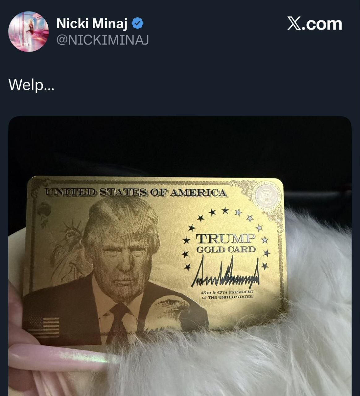 عکس کارت طلایی نیکی میناژ که در شبکه ایکس منتشر کرد