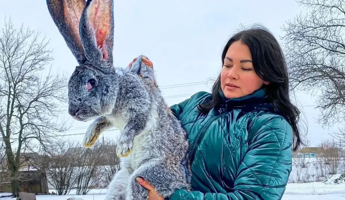 پخت غذای سنتی با خرگوش در روستایی برفی در اوکراین