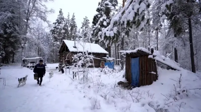 خطرناک‌ترین و سردترین جنگل