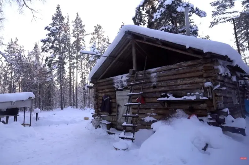 خطرناک‌ترین و سردترین جنگل