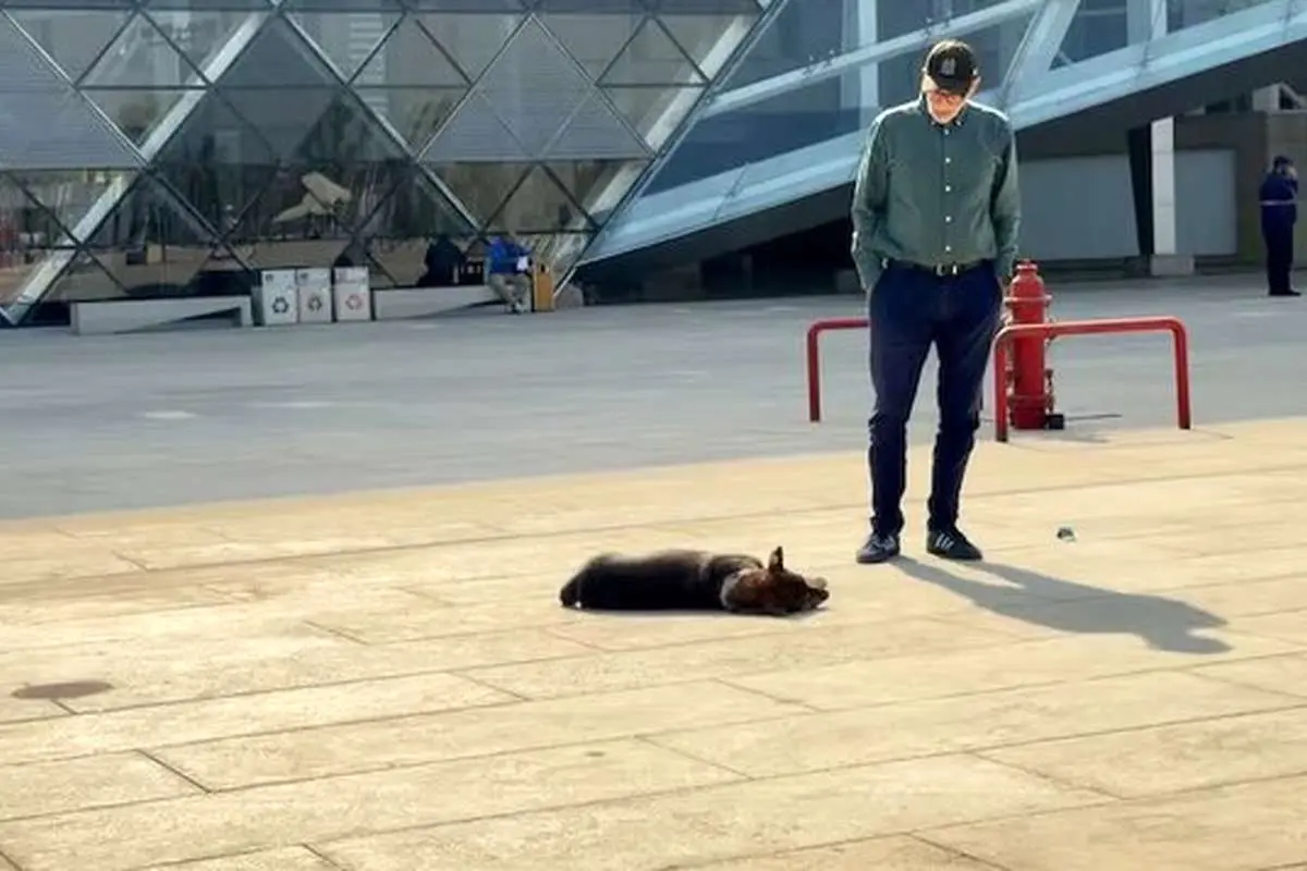 ماجرای سگی که رقیب فرعون مصر شد چه بود؟