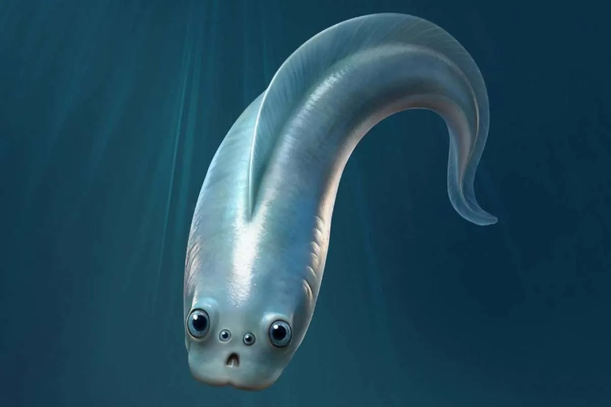 اجداد مهره‌دار ما احتمالاً چهار چشم داشتند