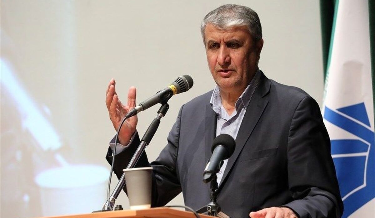 رئیس سازمان انرژی اتمی: دشمن از شکستی که خورده عصبانی است