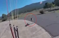 درگیری غیرمنتظره: حمله یک کانگوروی عصبانی به چترباز