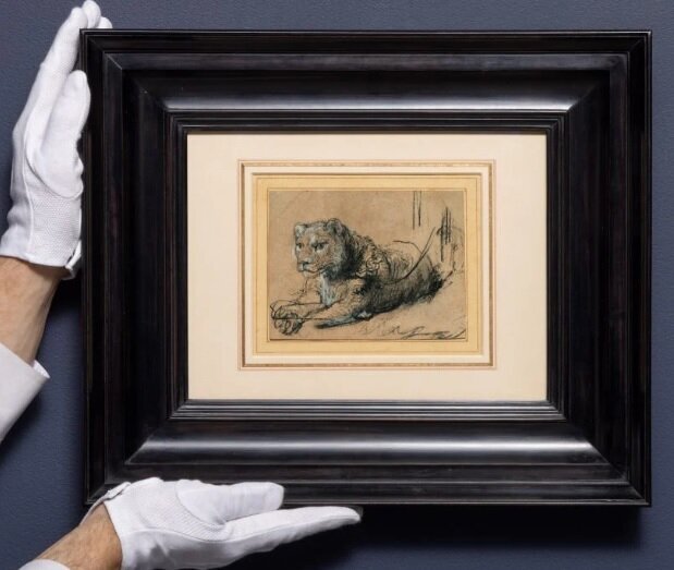 شیر جوان در حال استراحت شیر جوان در حال استراحت نقاشی «رامبرانت»