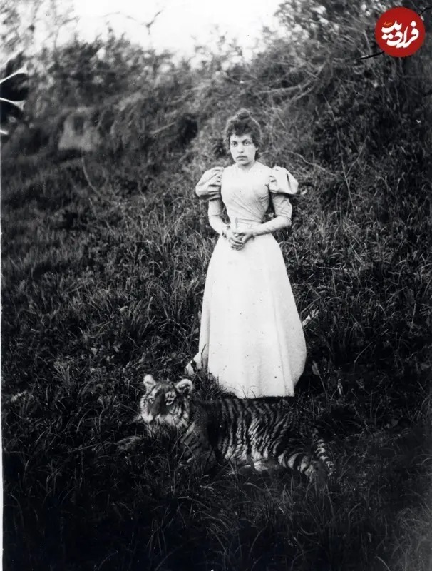 آنا کوخانوفسکی دختر کنسول روسیه در دوران قاجار را در شمال ایران در کنار یک توله ببر مازندران