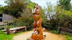 ساخت مجسمه چوبی اسب با اره&zwnj;برقی توسط نجار اوکراینی