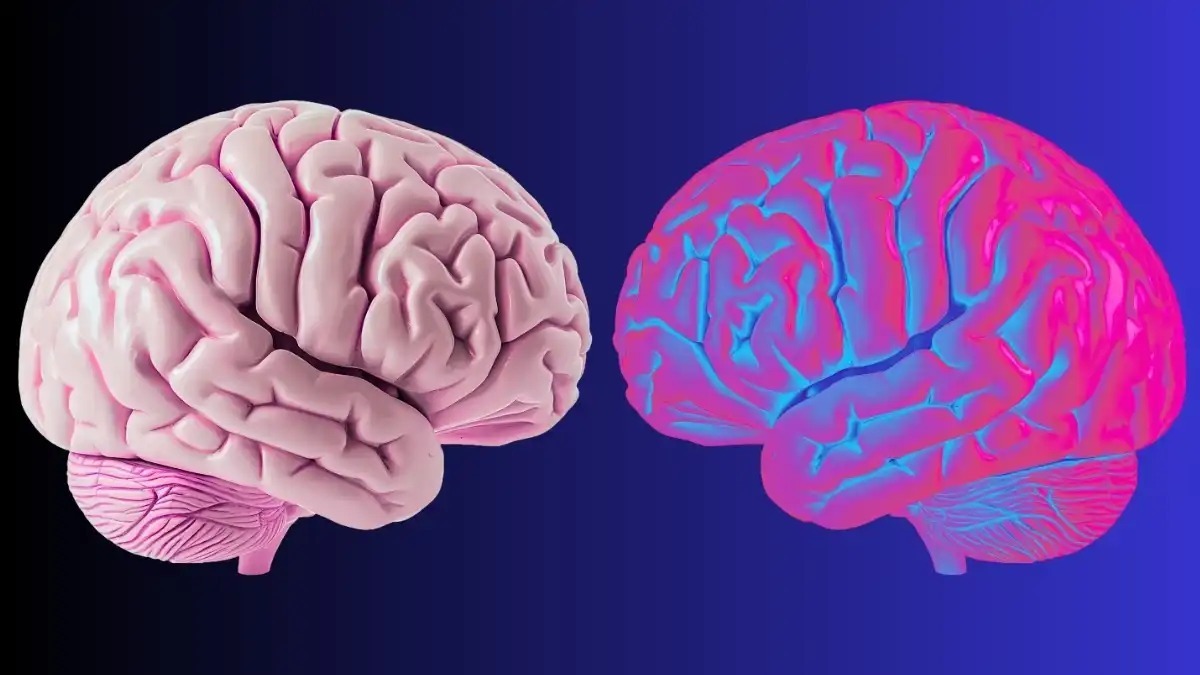 مرز «من» کجاست؟ امواج مغزی‌ای که حس مالکیت بدن و هویت شخصی را شکل می‌دهند