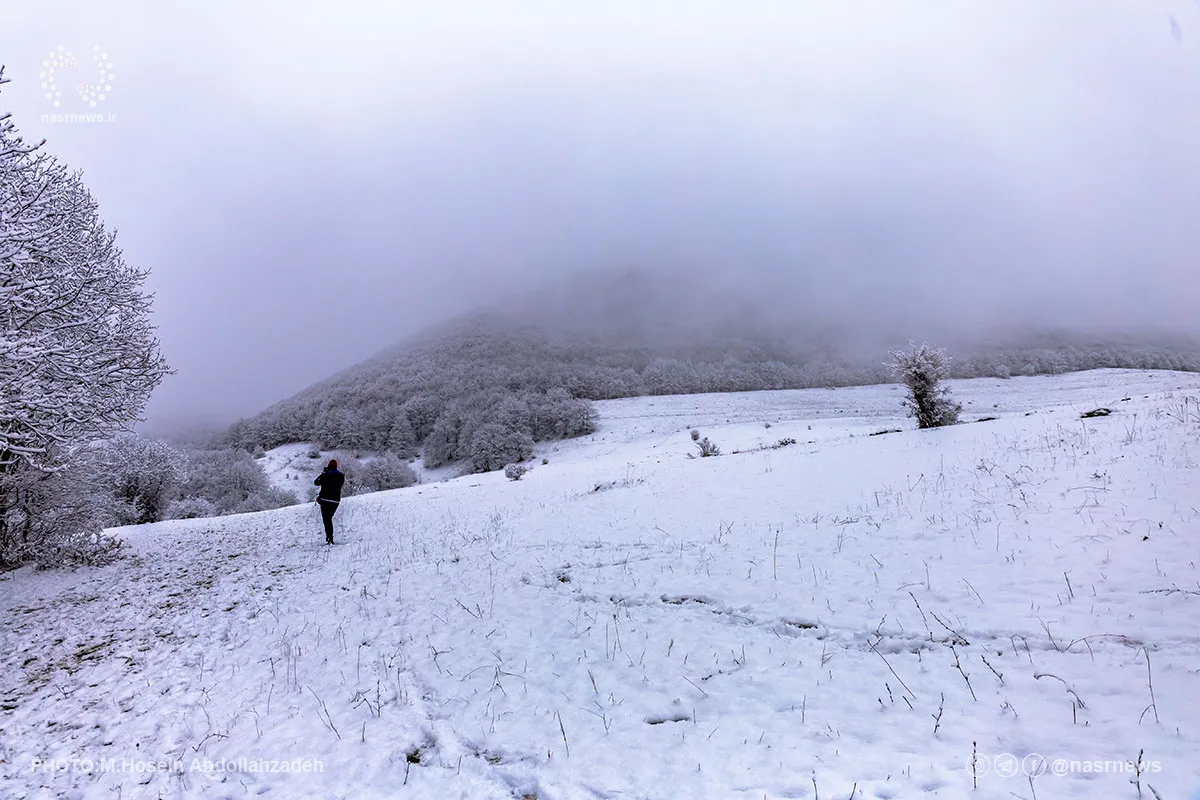 هشدار هواشناسی: پنج شنبه و جمعه کوه نروید /بارش برف و باران در اغلب مناطق ایران