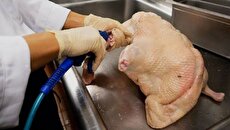 غذای خیابانی؛ پخت اردک به روش سنتی چینی در نیویورک